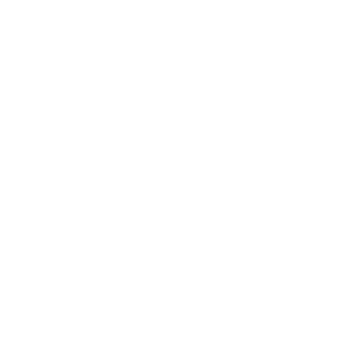 DPR+2010+white+logo+registered